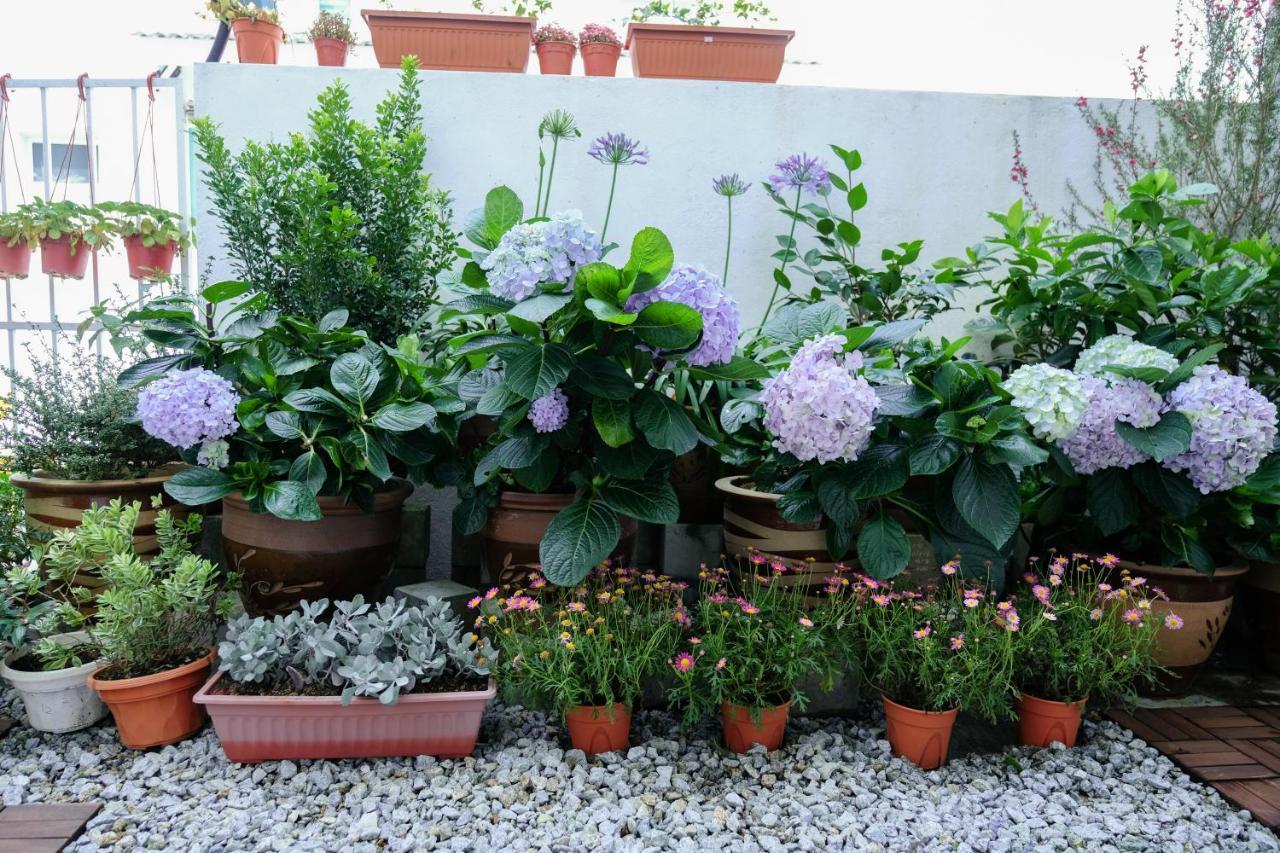 Comfy Sofy 21- Backyard Garden- Night Market Area Cameron Highlands Luaran gambar